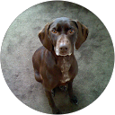 Benjamin Danielson profile picture