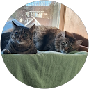 Victoria Silecchia profile picture