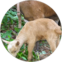 Debby Yount profile picture