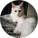 CHEROKEE PIERCE profile picture