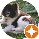 judyhoomalamalama profile picture